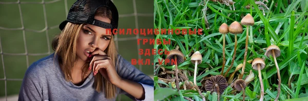 марки lsd Осташков
