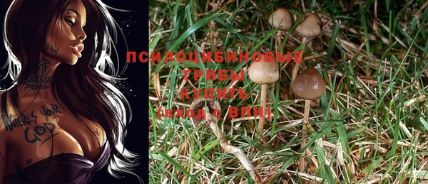 COCAINE Осинники