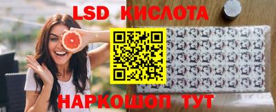 мдпв Гатчина