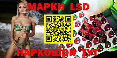 прущие крисы Гай