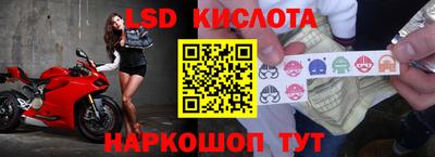 мдпв Гатчина