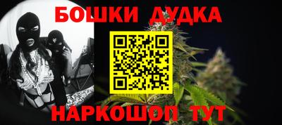 мдпв Гатчина