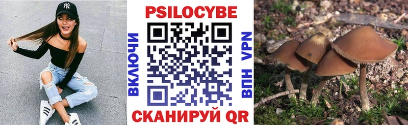 Галлюциногенные грибы GOLDEN TEACHER  Знаменск 